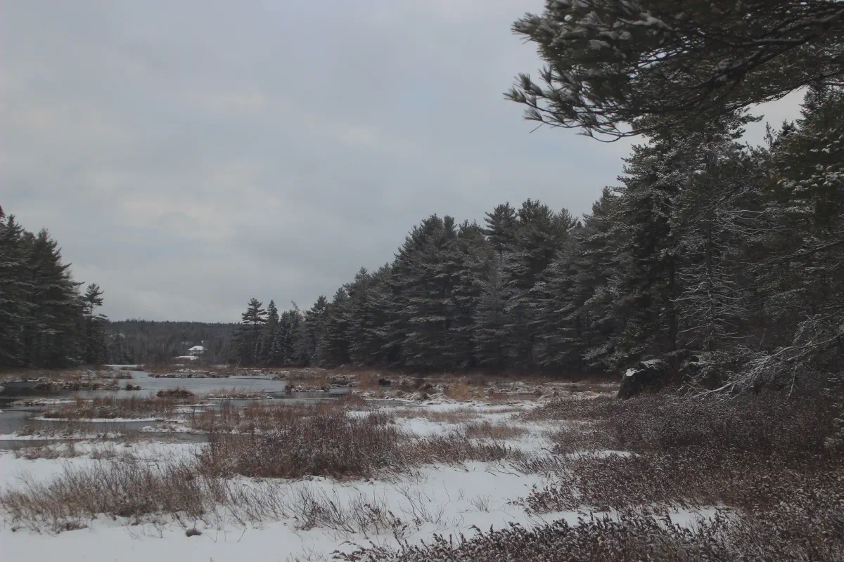 A winter road through the Fall River community