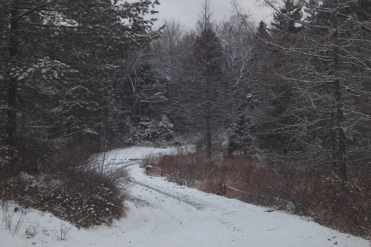 A snowy trail winding through forest in Fall River
